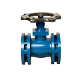 Y type bellow seal globe valves