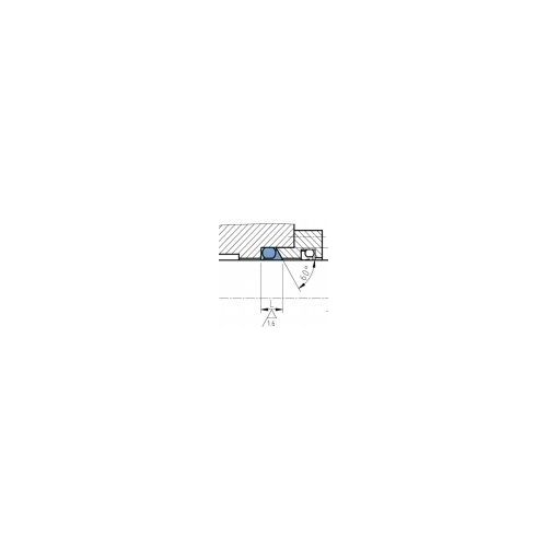 slip ring seal