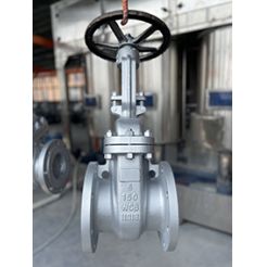 gate valve manufacturer