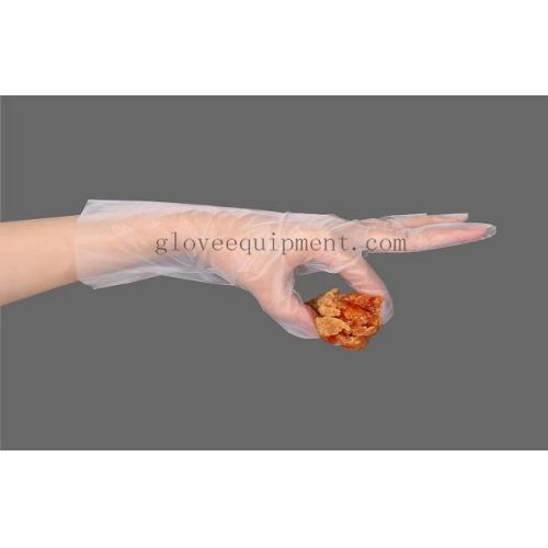 Disposable TPE Gloves