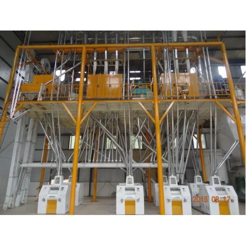 100TPD Steel Frame Wheat Flour Mill Plant